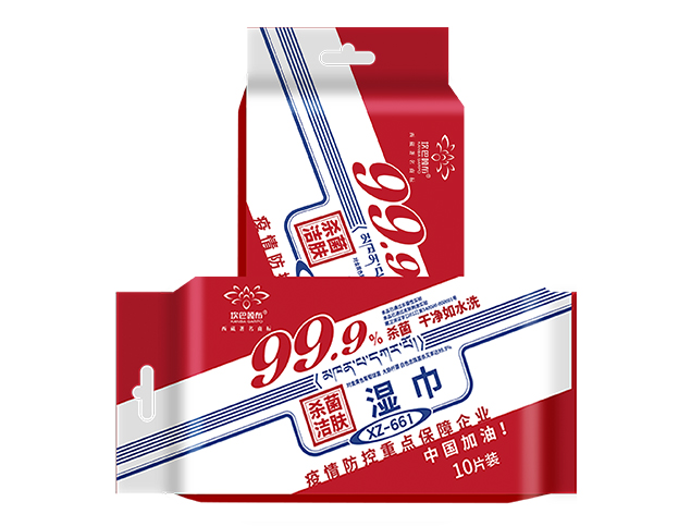 坎巴嘎布10独立杀菌湿巾